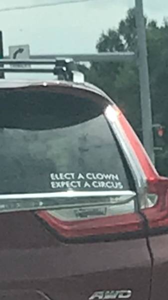 Daily Picdump [WEEKEND EDITION]