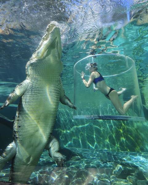 Daily Picdump [WEEKEND EDITION]