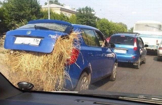 Daily Picdump [WEEKEND EDITION]