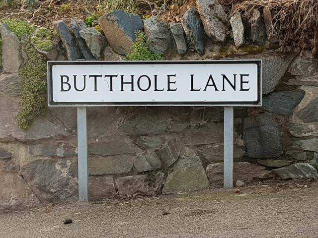 daily picdump weekend edition 51 pics 10.html - 51 HD Photos | Premium Gallery 2018