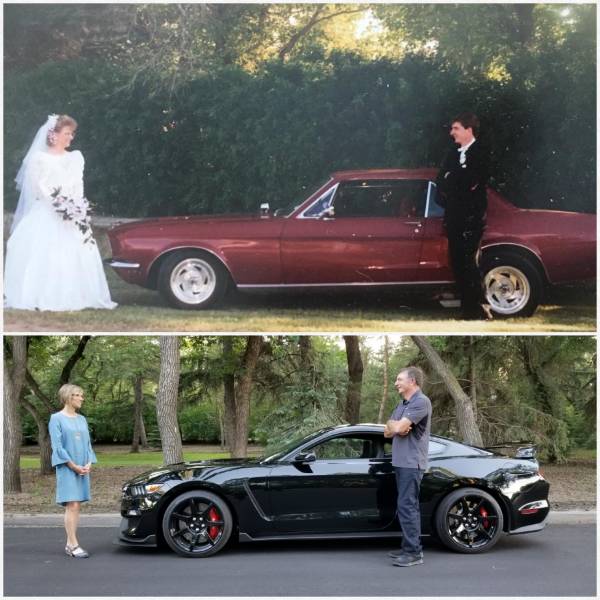 daily picdump weekend edition 51 pics 10.html - 51 HD Photos | Premium Gallery 2018