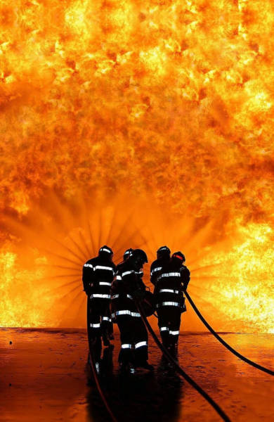 daily picdump weekend edition 51 pics 10.html - 51 HD Photos | Premium Gallery 2018