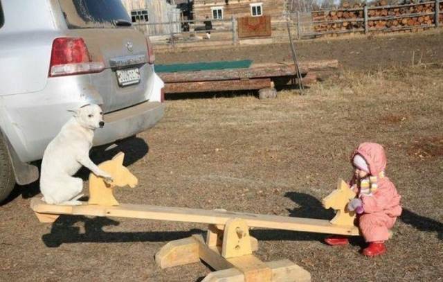 daily picdump 96 pics 5.html - 96 HD Photos | Premium Gallery 2018