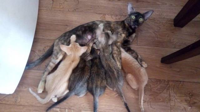 daily picdump 96 pics 5.html - 96 HD Photos | Premium Gallery 2018