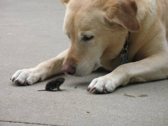 daily picdump 96 pics 5.html - 96 HD Photos | Premium Gallery 2018