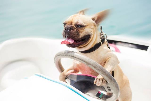 daily picdump 96 pics 5.html - 96 HD Photos | Premium Gallery 2018