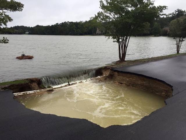 daily picdump 96 pics 5.html - 96 HD Photos | Premium Gallery 2018