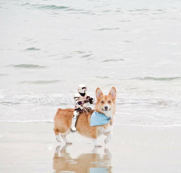 daily picdump 96 pics 5.html - 96 HD Photos | Premium Gallery 2018