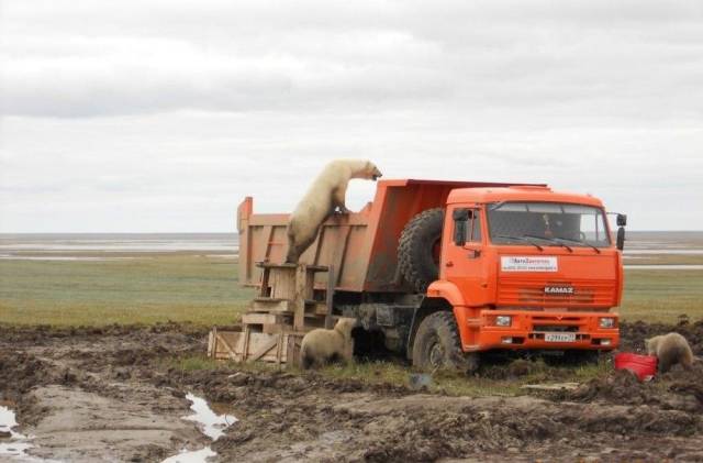 daily picdump 96 pics 5.html - 96 HD Photos | Premium Gallery 2018