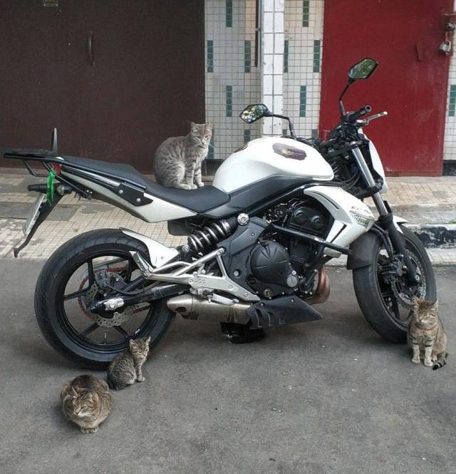 daily picdump 96 pics 5.html - 96 HD Photos | Premium Gallery 2018