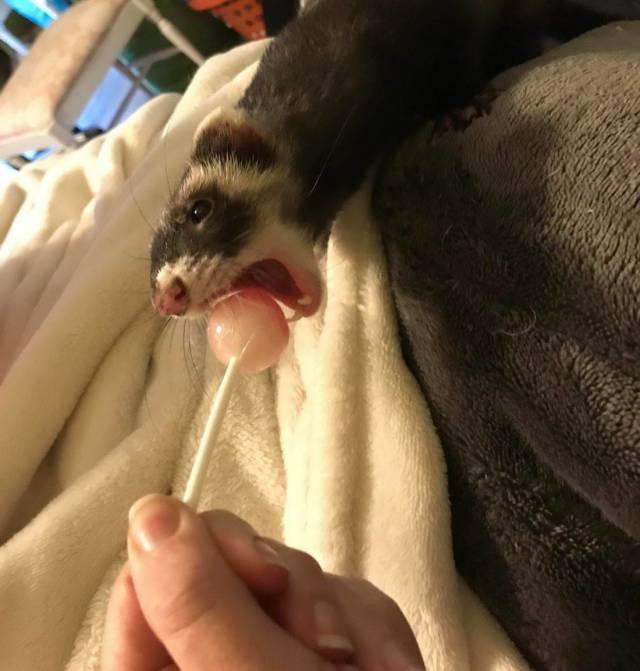 daily picdump 96 pics 5.html - 96 HD Photos | Premium Gallery 2018