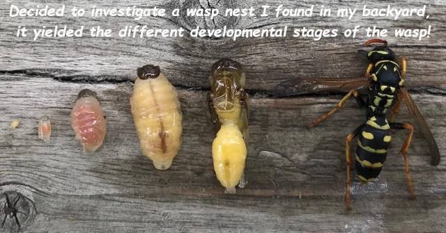 daily picdump 101 pics 51.html - 101 HD Photos | Premium Gallery 2018