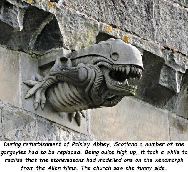 daily picdump 101 pics 51.html - 101 HD Photos | Premium Gallery 2018