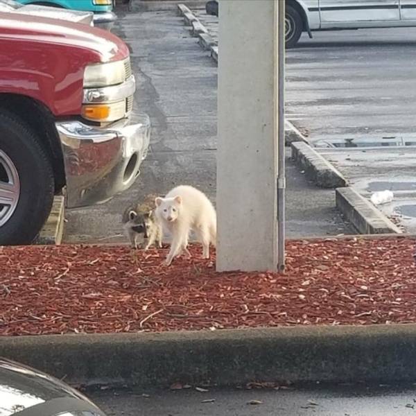 daily picdump 101 pics 51.html - 101 HD Photos | Premium Gallery 2018