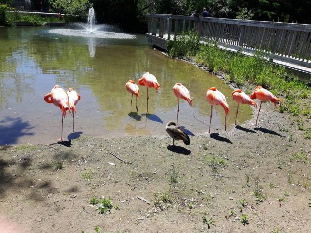 daily picdump 101 pics 51.html - 101 HD Photos | Premium Gallery 2018