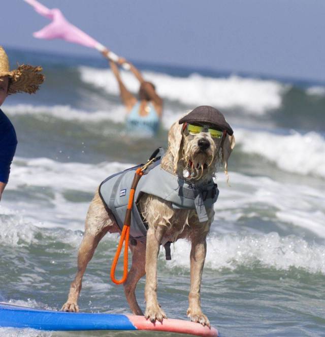 daily picdump 101 pics 51.html - 101 HD Photos | Premium Gallery 2018