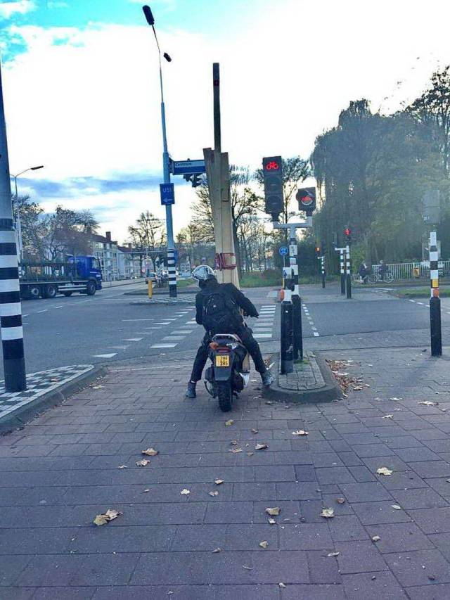 daily picdump 101 pics 51.html - 101 HD Photos | Premium Gallery 2018