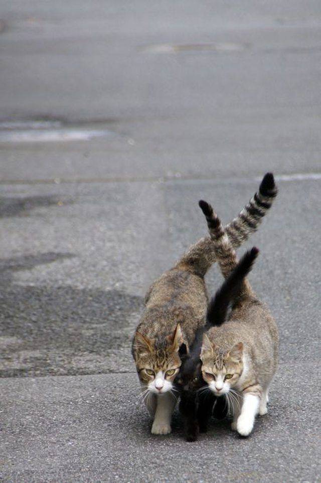 daily picdump 101 pics 51.html - 101 HD Photos | Premium Gallery 2018