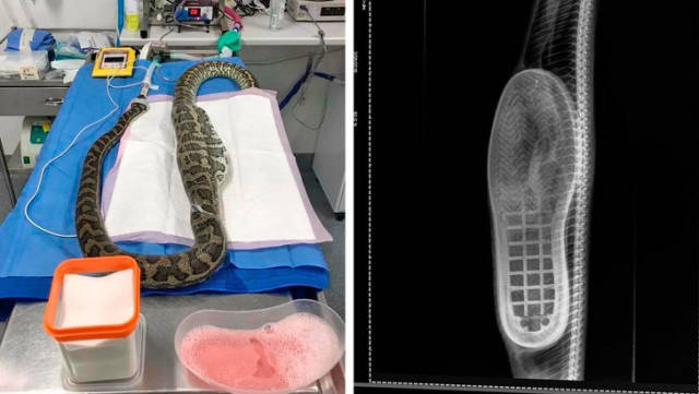 Pics That Are So Poignant and Fascinating