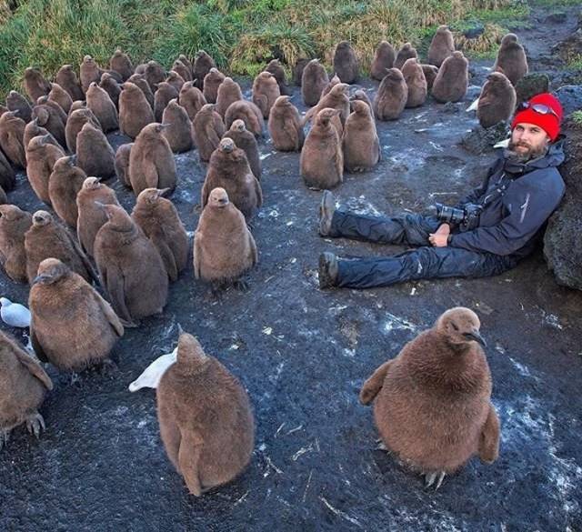 Pics That Are So Poignant and Fascinating