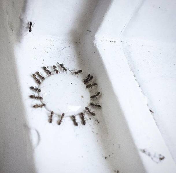 Pics That Are So Poignant and Fascinating