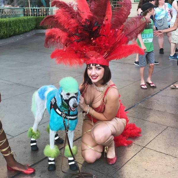 daily picdump 104 pics 22.html - 104 HD Photos | Premium Gallery 2018