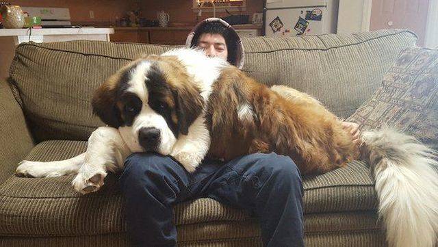 daily picdump 104 pics 22.html - 104 HD Photos | Premium Gallery 2018