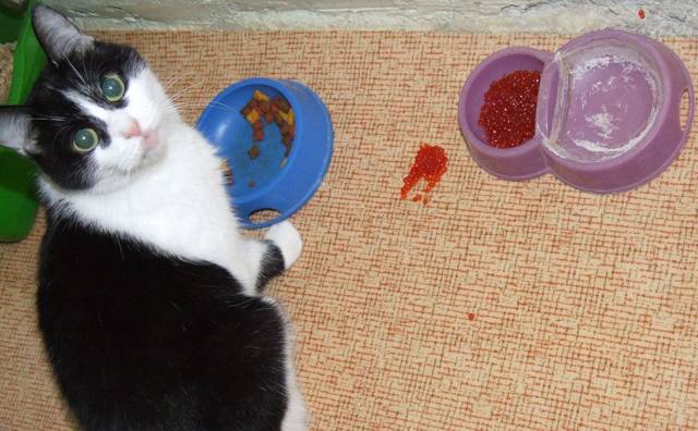 daily picdump 104 pics 22.html - 104 HD Photos | Premium Gallery 2018