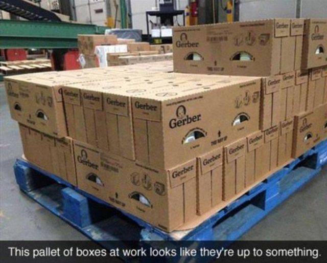 daily picdump 104 pics 22.html - 104 HD Photos | Premium Gallery 2018