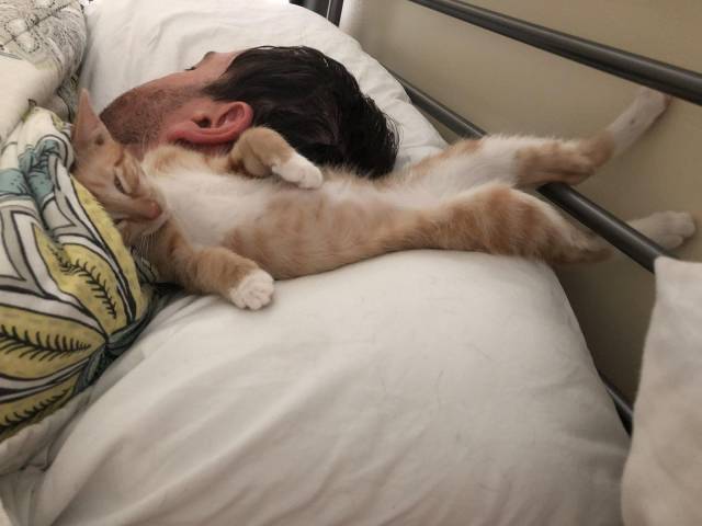 daily picdump 104 pics 22.html - 104 HD Photos | Premium Gallery 2018