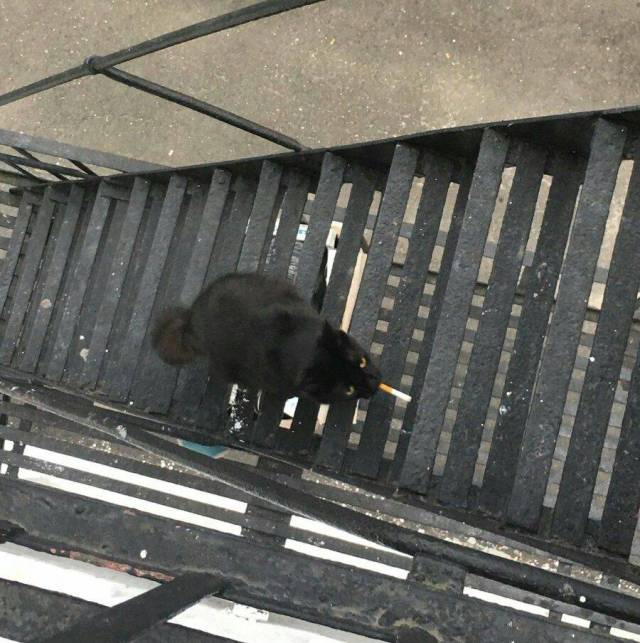 daily picdump 104 pics 22.html - 104 HD Photos | Premium Gallery 2018