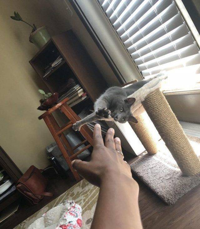 daily picdump 104 pics 22.html - 104 HD Photos | Premium Gallery 2018