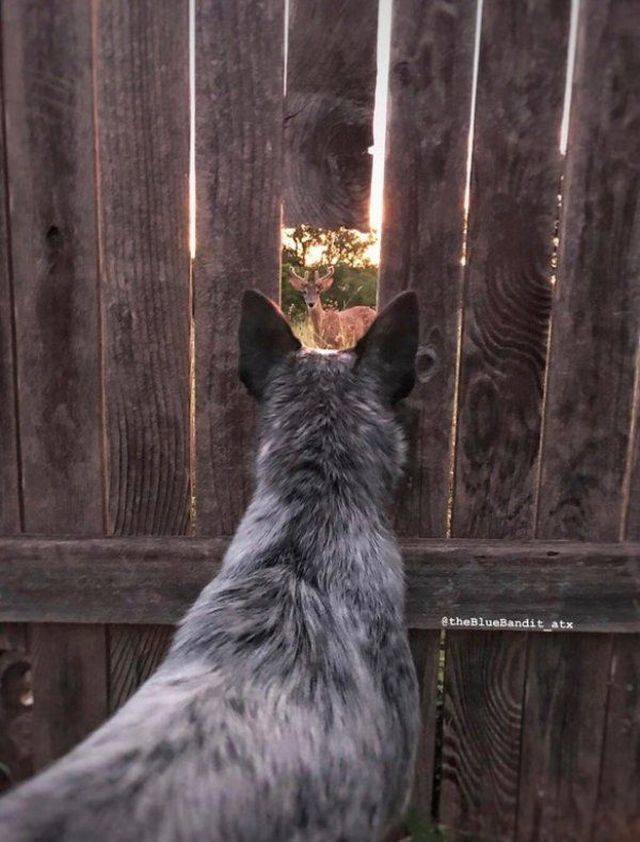 daily picdump 104 pics 22.html - 104 HD Photos | Premium Gallery 2018