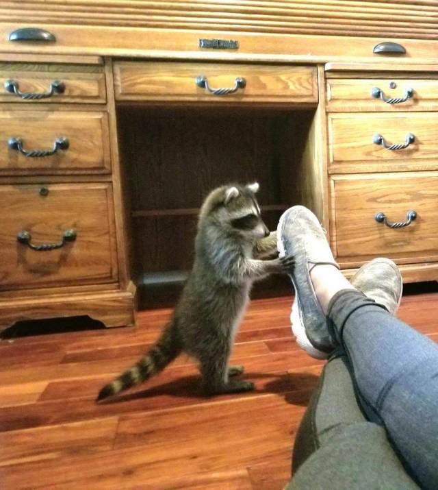 daily picdump 104 pics 22.html - 104 HD Photos | Premium Gallery 2018