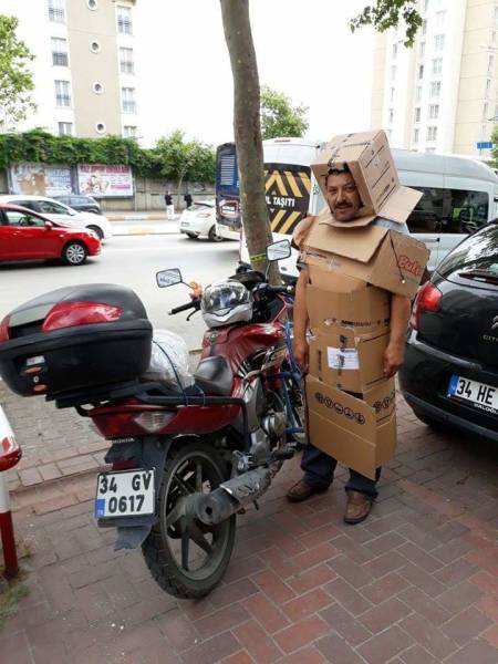 Morning Picdump