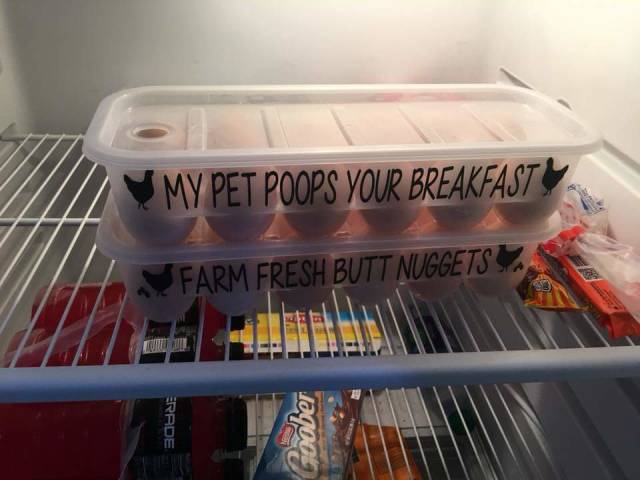 Morning Picdump