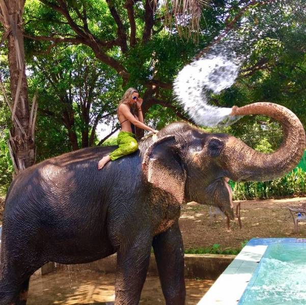 daily picdump 98 pics 21.html - 98 HD Photos | Premium Gallery 2018