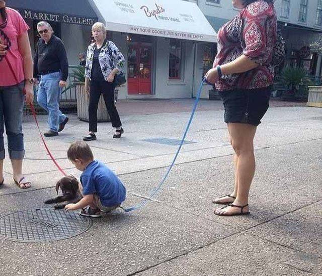 daily picdump 98 pics 21.html - 98 HD Photos | Premium Gallery 2018