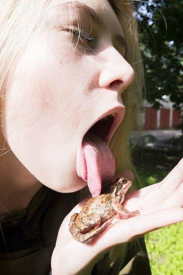 Daily Picdump