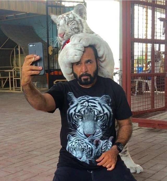 daily picdump 98 pics 21.html - 98 HD Photos | Premium Gallery 2018