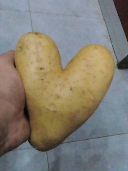 morning picdump 51 pics 14.html - 51 HD Photos | Premium Gallery 2018