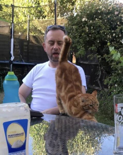 morning picdump 51 pics 14.html - 51 HD Photos | Premium Gallery 2018