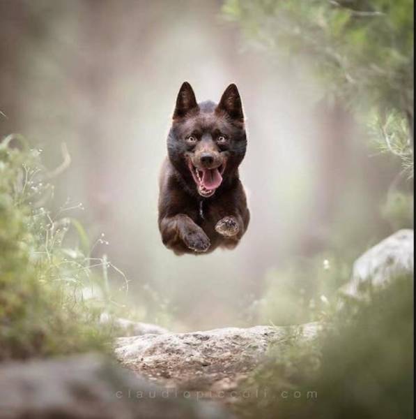 morning picdump 51 pics 14.html - 51 HD Photos | Premium Gallery 2018