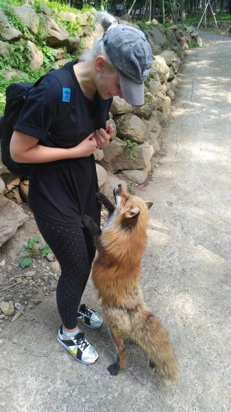 morning picdump 51 pics 14.html - 51 HD Photos | Premium Gallery 2018