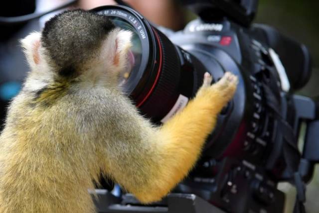 morning picdump 50 pics 10.html - 50 HD Photos | Premium Gallery 2018