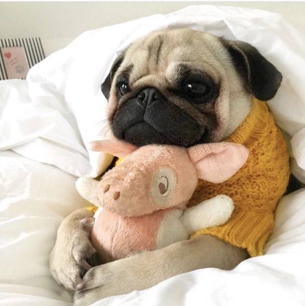 morning picdump 50 pics 10.html - 50 HD Photos | Premium Gallery 2018
