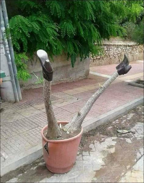morning picdump 50 pics 10.html - 50 HD Photos | Premium Gallery 2018
