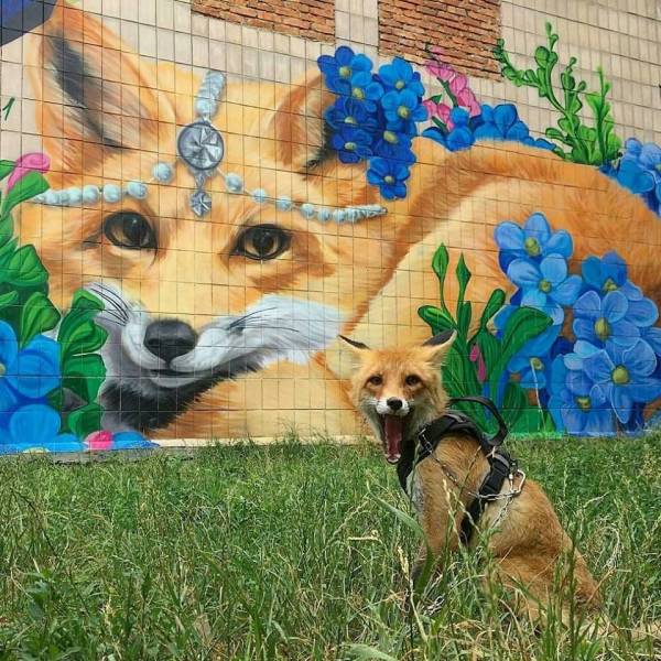 daily picdump weekend edition 72 pics 36.html - 72 HD Photos | Premium Gallery 2018