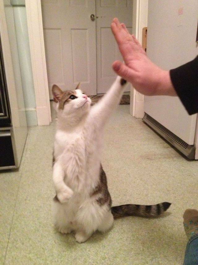 Daily Picdump [WEEKEND EDITION]