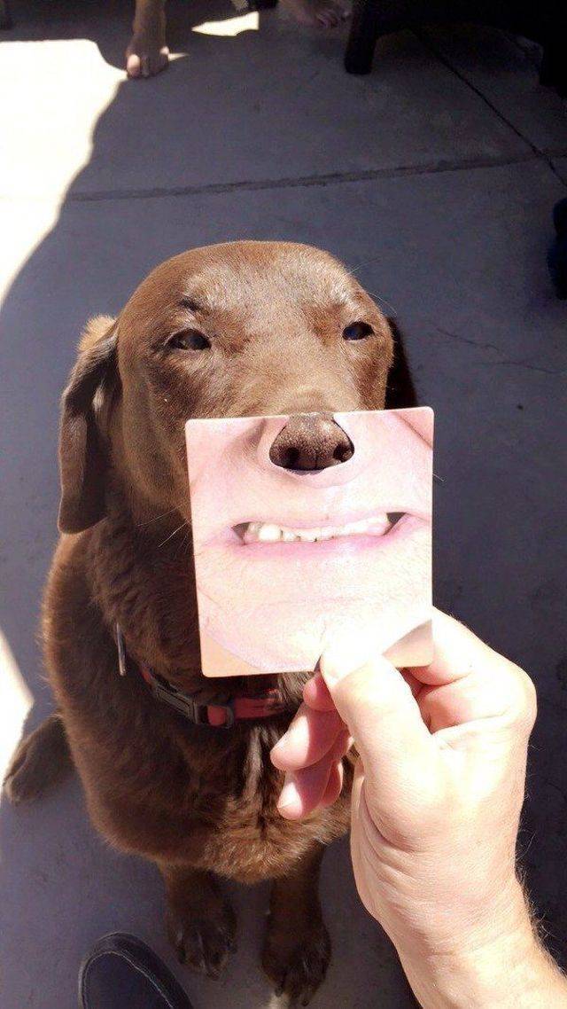 daily picdump weekend edition 72 pics 36.html - 72 HD Photos | Premium Gallery 2018
